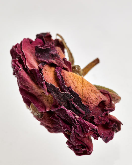 Image of an enlarged dried pink rose flower