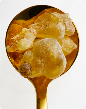 Frankincense Picture